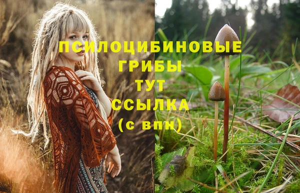 a pvp Балахна