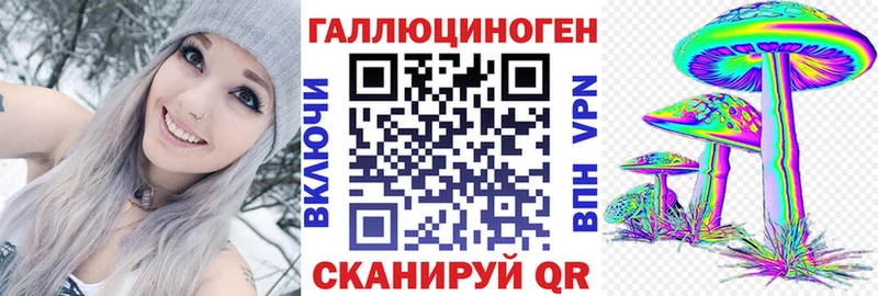 Галлюциногенные грибы Psilocybine cubensis  Бузулук 